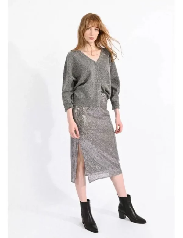 Sequined Skirt