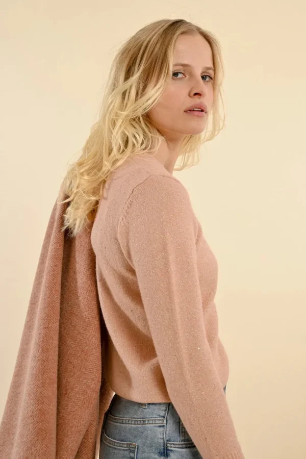 Shimmering Mesh Sweater - Pink