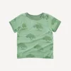 Short Sleeve Ringer Tee - Apple Tree