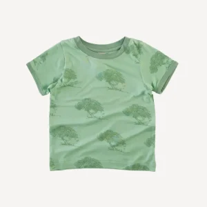 Short Sleeve Ringer Tee - Apple Tree