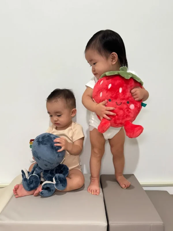 Sweetie Snuggles™ Plush - Strawberry