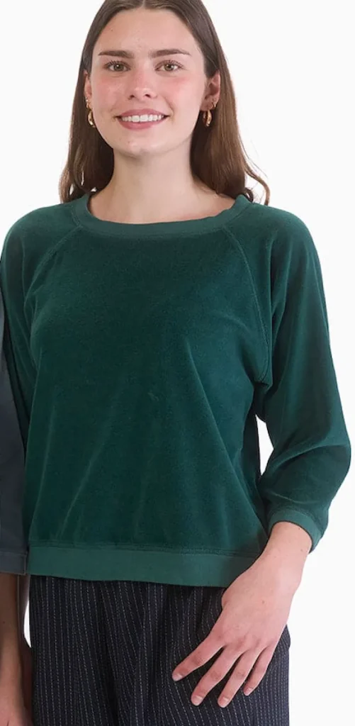 Velour Sweatshirt - Two Colors