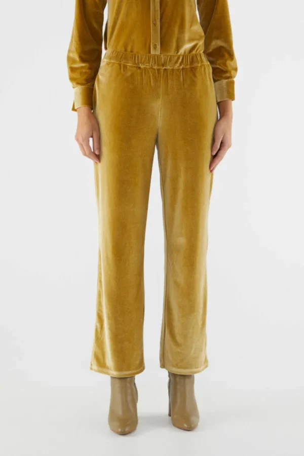 Velvet Stretch Pants - Gold