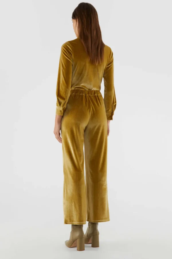 Velvet Stretch Pants - Gold
