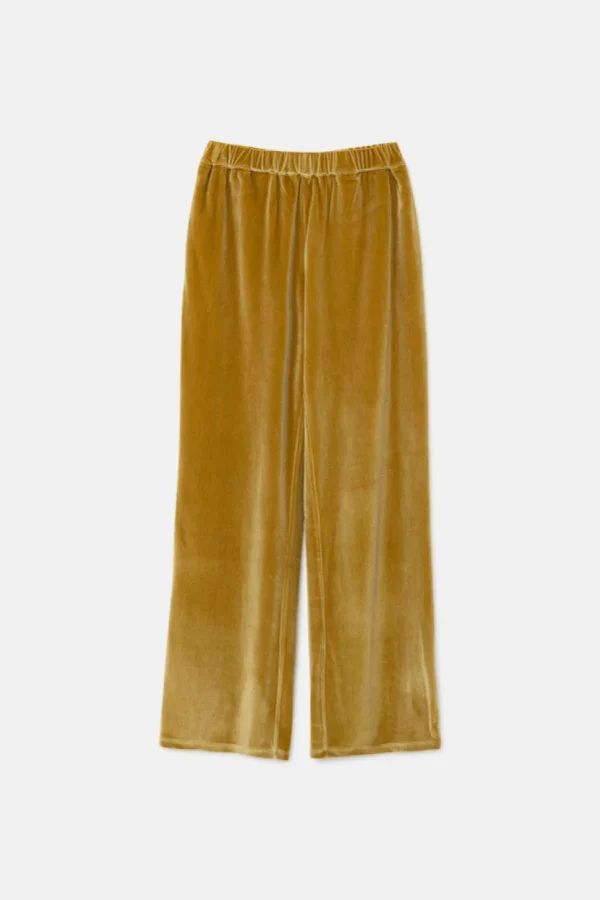 Velvet Stretch Pants - Gold