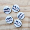 Vote Dammit Piin