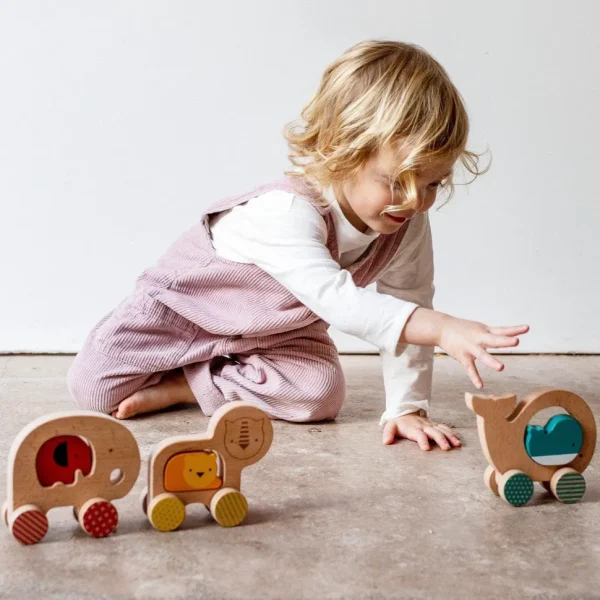 Wooden Push Along Lion Toy
